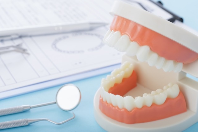 歯の模型と治療器具が並んでいる画像