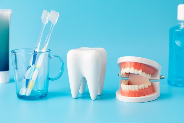 歯科治療をイメージした歯の模型と歯ブラシの画像